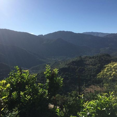 GITE , Maison de vacances avec extérieur et terrasse fleurie Villa Santa-Lucia-di-Tallano Esterno foto