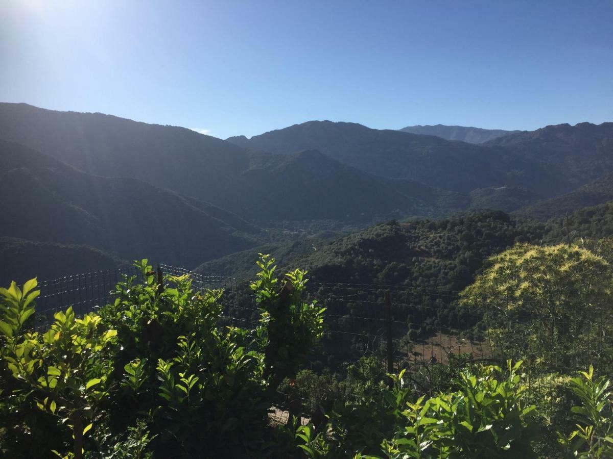 GITE , Maison de vacances avec extérieur et terrasse fleurie Villa Santa-Lucia-di-Tallano Esterno foto