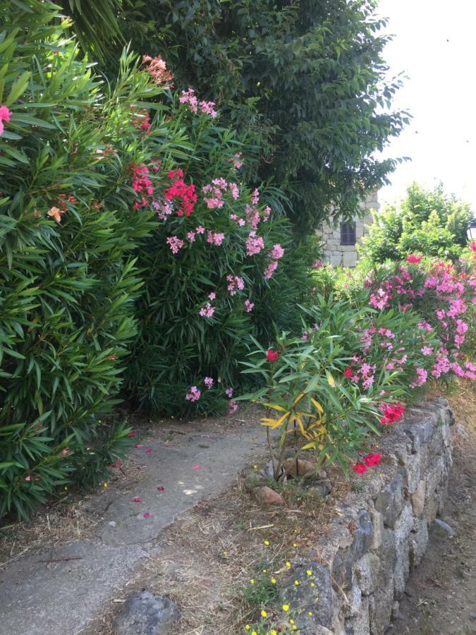 GITE , Maison de vacances avec extérieur et terrasse fleurie Villa Santa-Lucia-di-Tallano Esterno foto