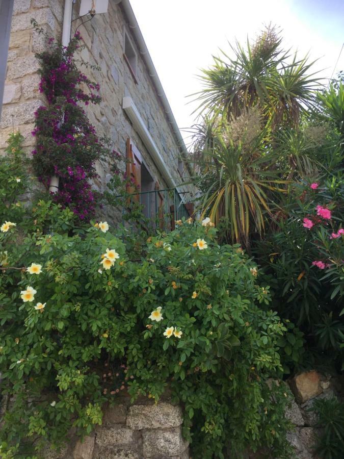 GITE , Maison de vacances avec extérieur et terrasse fleurie Villa Santa-Lucia-di-Tallano Esterno foto